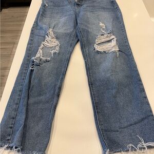 Wild Fable Distressed Blue Flare Jeans
